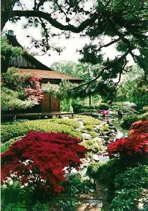 jard&iacute;n.JPG