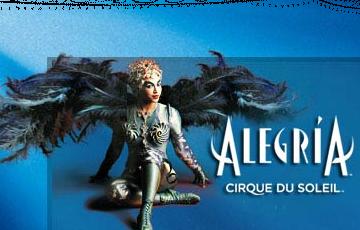 Alegría.JPG